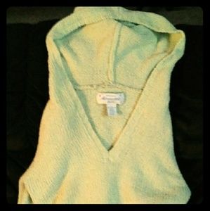 Soft chenille hooded sweater