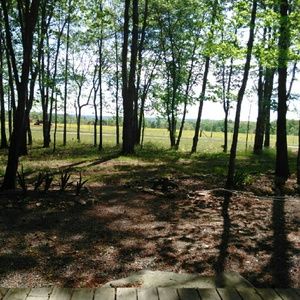 Meet your Posher, Marie