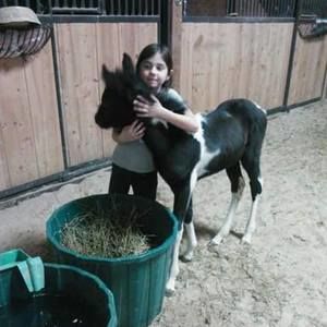 Meet your Posher, Julie