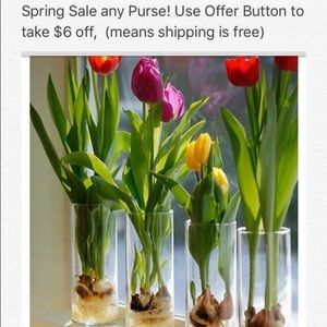 Spring Sale on any Purse!