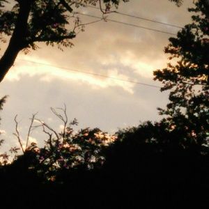 Meet your Posher, Dee