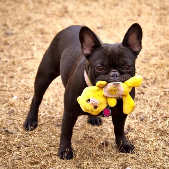 Meet your Posher!💋😍 - Picture 3 of 4