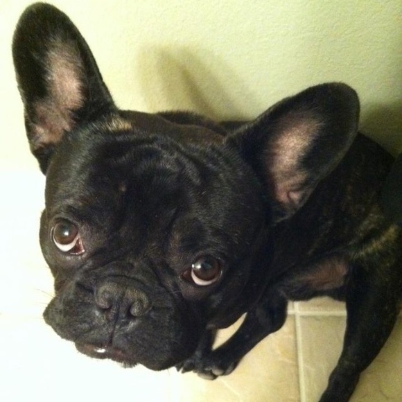 Meet your Posher!💋😍 - Picture 4 of 4