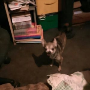 Meet your Posher, Cheryle