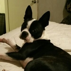 Meet your Posher, Lacey