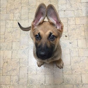 Meet your Posher, James