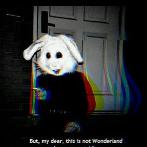 Meet your Posher, Miranda