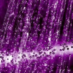 Meet your Posher, Kathleen