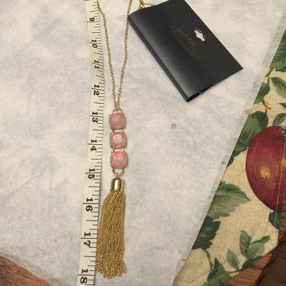18" long necklace, 5.5 pedant, 3 crystals & fringe