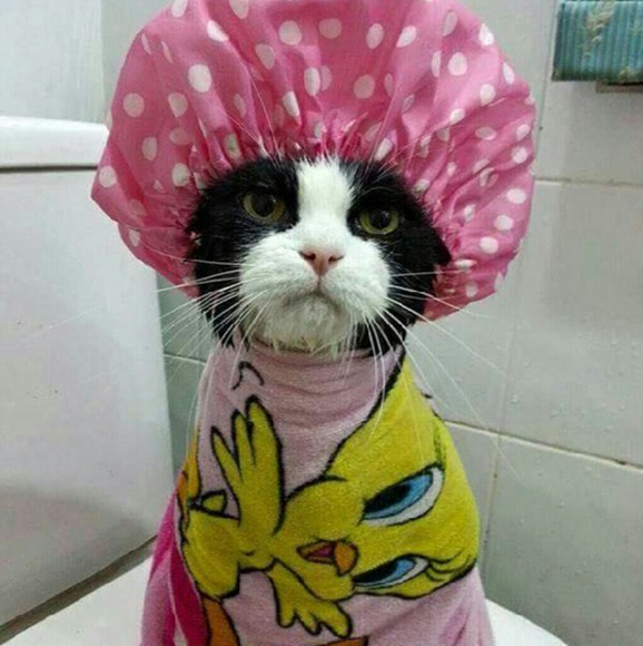 Meet your Posher, Marcy - Picture 1 of 1