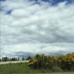 Meet your Posher, Avriel