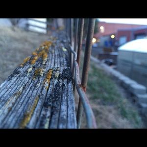 Meet your Posher, Molly