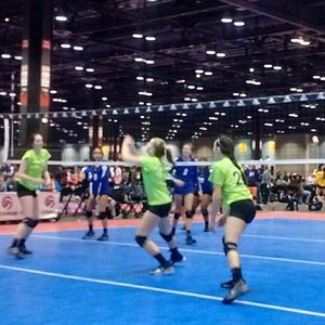 Meet your Posher, Madison