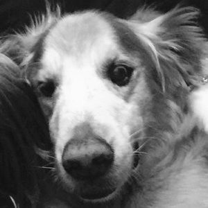 Meet your Posher, Lili