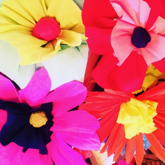 Meet your Posher, Kiki - Picture 1 of 1