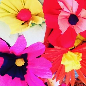 Meet your Posher, Kiki