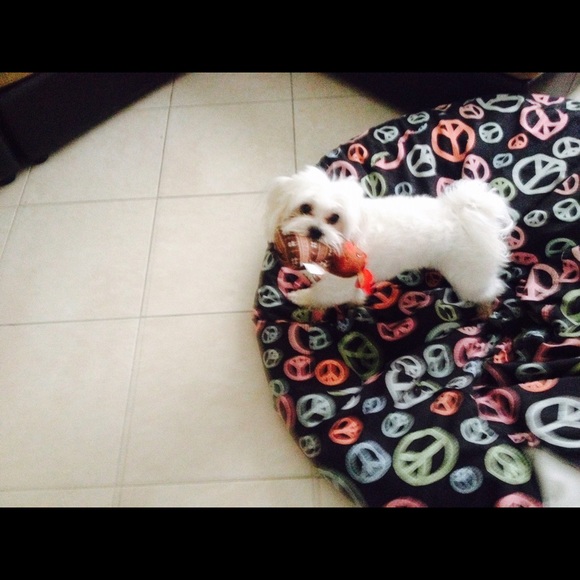 Meet your Posher, Darla