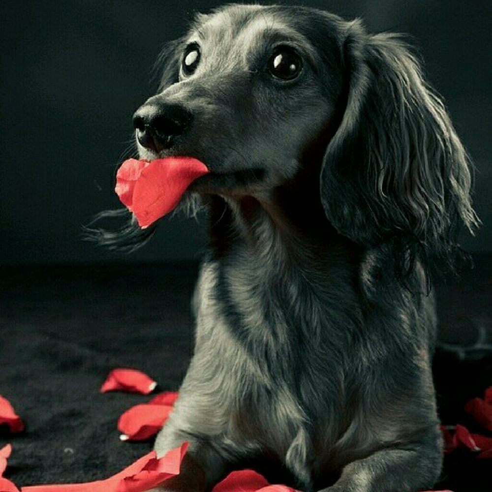 20% OFF OF 2 OR MORE ITEMS