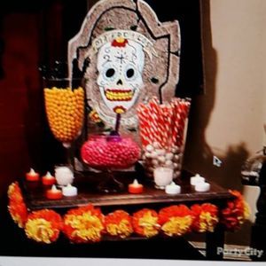 Meet your Posher, Alisa