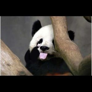 Meet your Posher, Diep