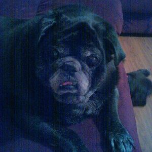 Meet your Posher, Charlotte