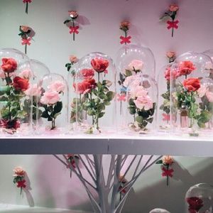 Meet your Posher, Addie