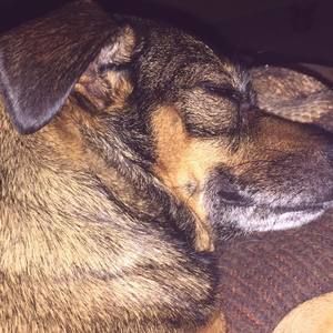 Meet your Posher, Debbie