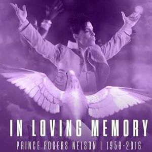 Meet your Posher, Wendy stewart