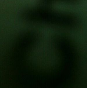 Meet your Posher, Shelly