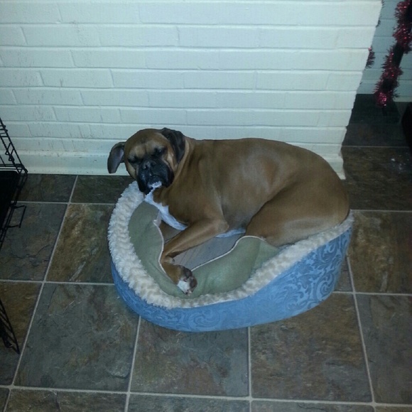 Meet your Posher, Kay - Picture 1 of 1