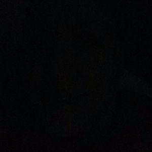 Meet your Posher, Anabel