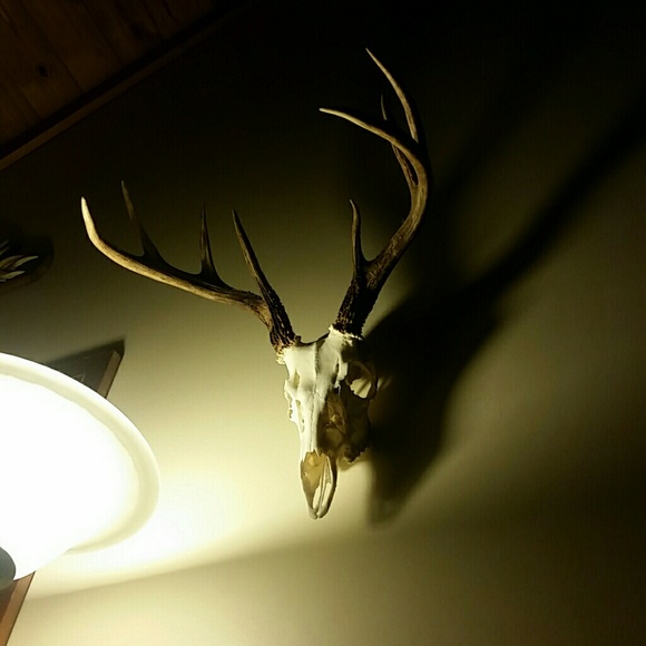 Meet your Posher, Teresa - Picture 1 of 1