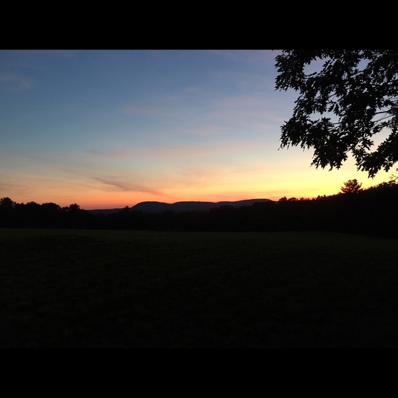 Meet your Posher, Cindi - Picture 2 of 2