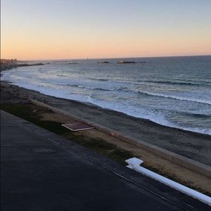 Meet your Posher, Lizzie