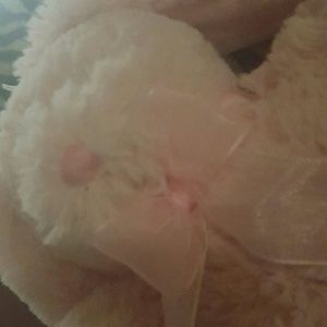 Meet your Posher, Charity