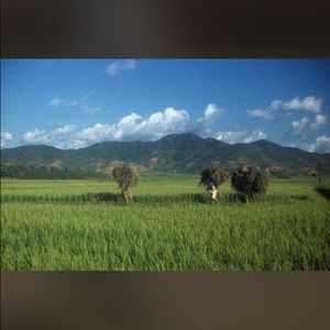 Meet your Posher, Yoon