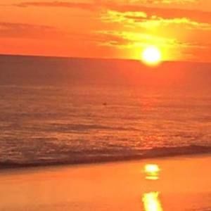 Meet your Posher, Lara