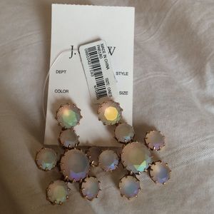 NWT j crew earnings