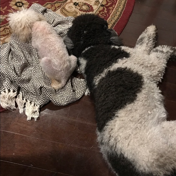 Meet your Posher, Brenda - Picture 2 of 8