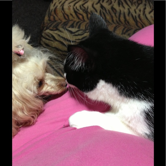 Meet your Posher, Brenda - Picture 7 of 8