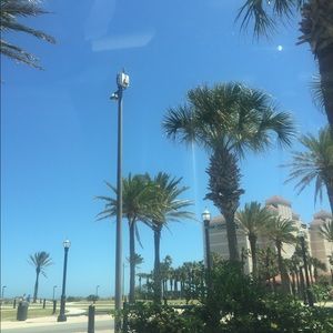 Meet your Posher, Janet