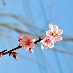 Additional Sale💝💝