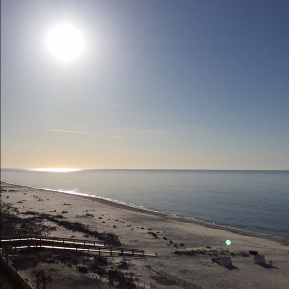 Meet your Posher, Claire - Picture 1 of 1