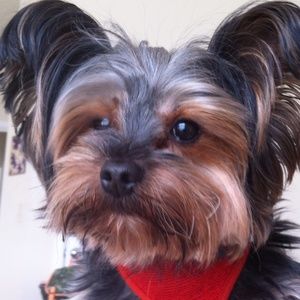 Meet your Posher, Chloe