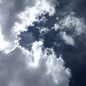 Meet your Posher, Kendall