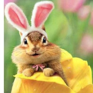 Meet your Posher, Becki