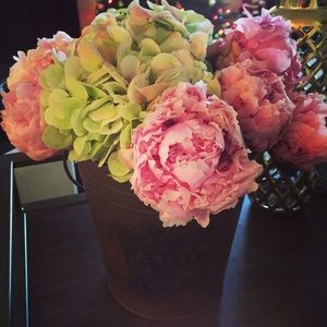 Meet your Posher, Karla