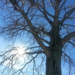 Meet your Posher, Louise