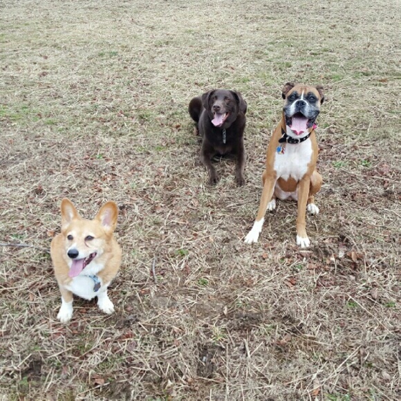 Meet your Posher, Kellie - Picture 2 of 4