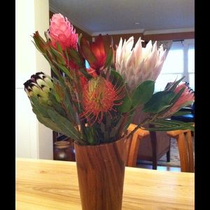 Meet your Posher, Catherine